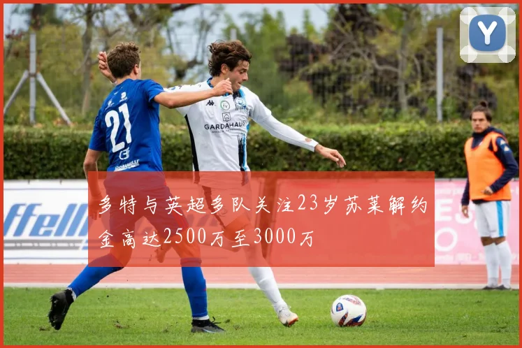 多特与英超多队关注23岁苏莱解约金高达2500万至3000万
